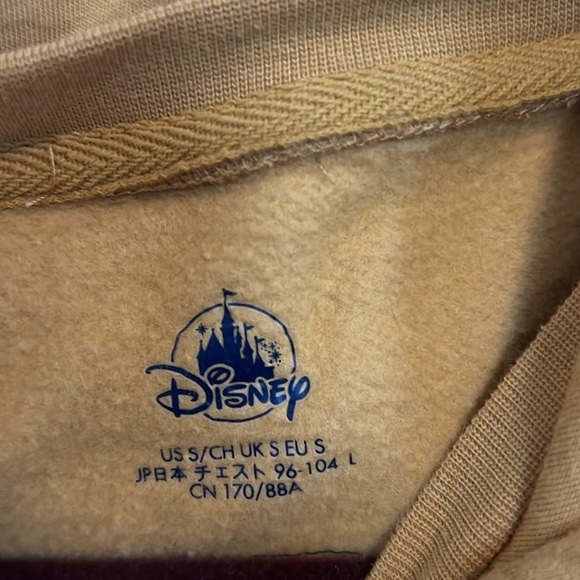 WALT DISNEY WORLD 50TH ANNIVERSARY HOODIE - Picture 2 of 4
